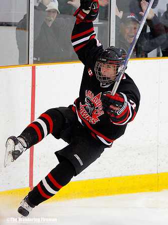 Hockey goal celebration