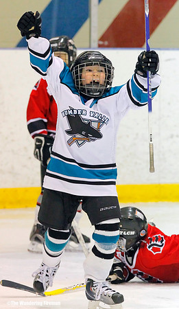 Goal celebration in ice hockey