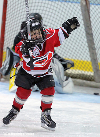 Hockey goal celebration