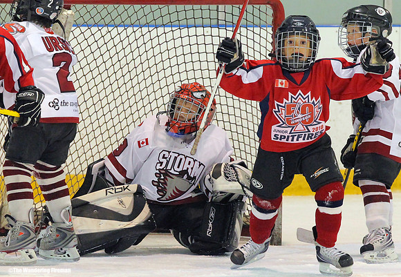 Goal celebration in ice hockey