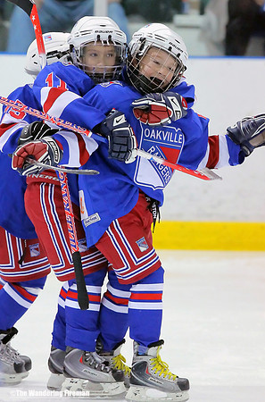 Players on a team celebrate a goal