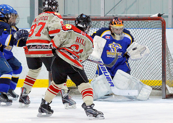 Great glove save in ice hockey