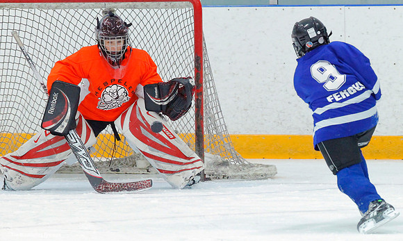 Great ice hockey goalie save