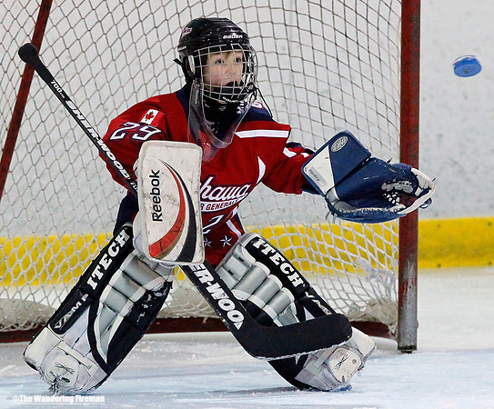 Goalie making a save