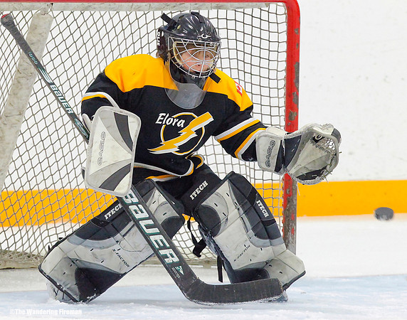 Great glove save in ice hockey
