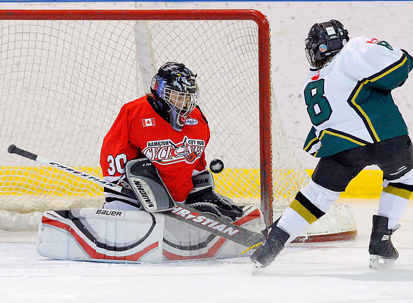 Great goalie save in ice hockey