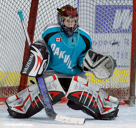 Goalie glove save