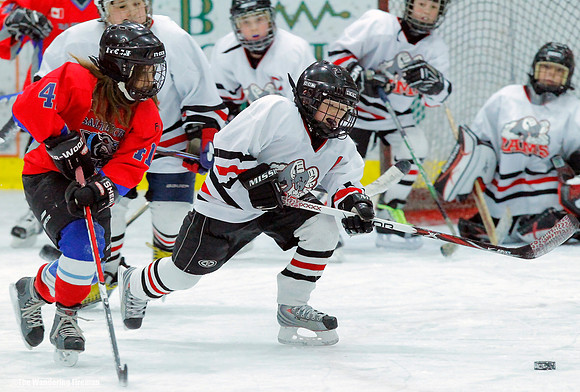 Chasing the puck in an ice hockey game.