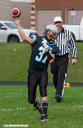 Quarterback throws a pass