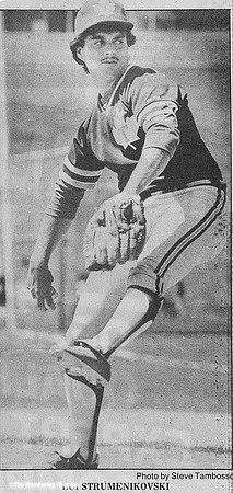 Mississauga News mens baseball game