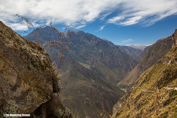 Colca Canyon