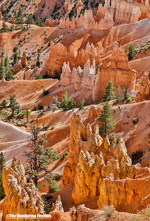 Bryce Canyon