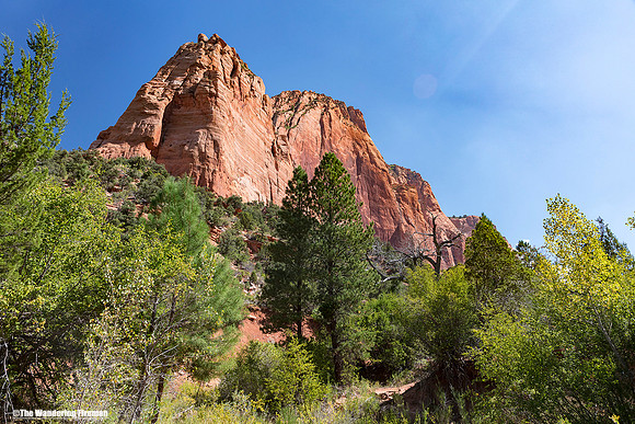 Zion Canyon