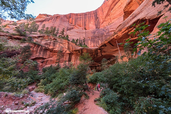 Zion Canyon