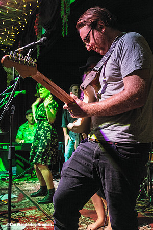 Guitarist for Kelly Knight and the Daze