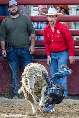 Leon Iowa annual rodeo critter scramble