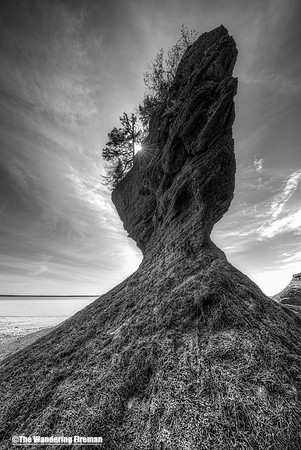 Rock structure in Hopewell Rocks