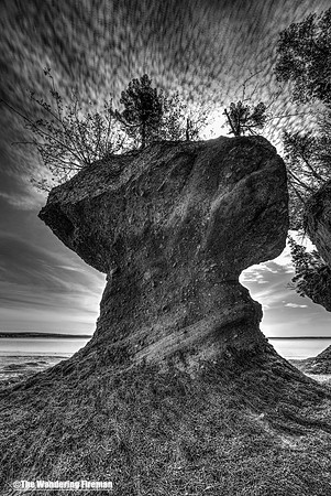 Monochrome image of Hopewell Rocks New Brunswick