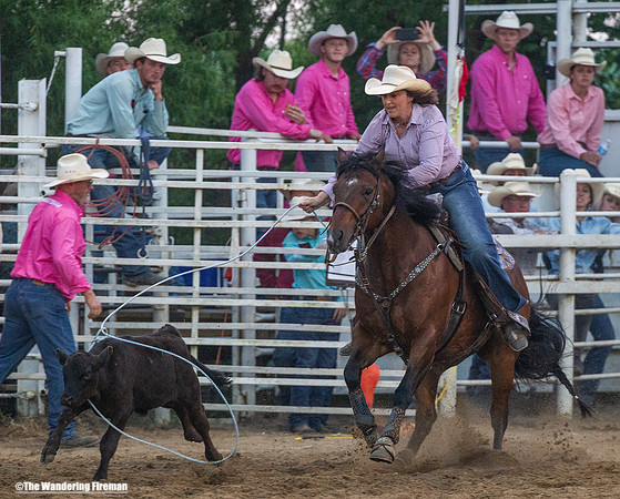 Calf Roping at the Leon Iowa Rodeo