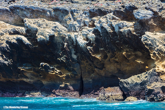 Coastline of Santiago Island