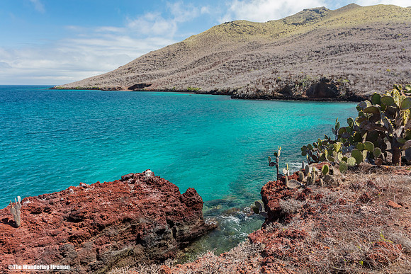 Rabida Island of the Galapagos Islands