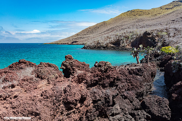 Rabida Island of the Galapagos