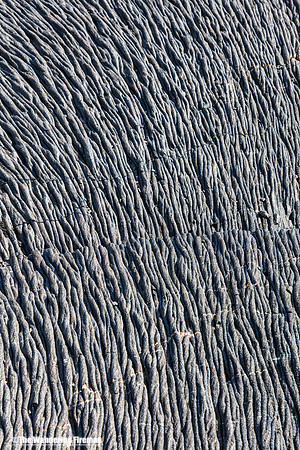 Rope Lava on Santiago Island 4