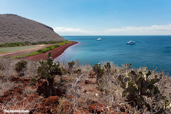 Shoreline of Rabida Island