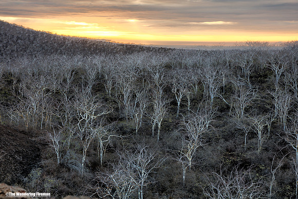 Sunset over Isabela Island of the Galapagos Islands