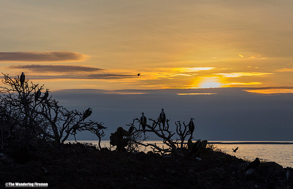 Sunset over Pinzon Island in the Galapagos Islands 2