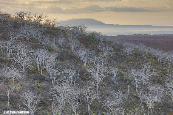 Sunset over the Isabela Islands of the Galapagos Islands 2