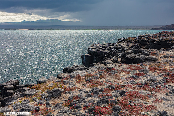 The Rocky coast of the Galapagos Islands