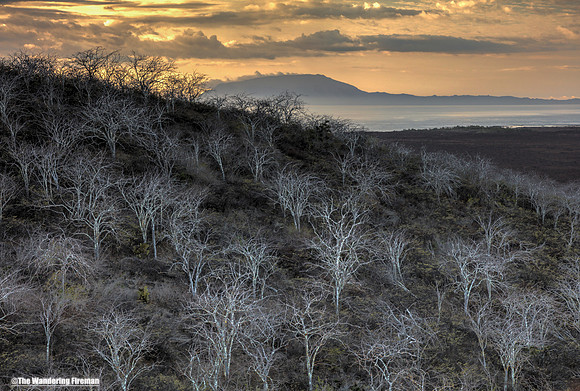 The sunset over Isabela Island of the Galapagos islands