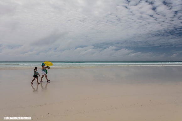Walkers on a Beach on Santa Cruz Galapagos Islands