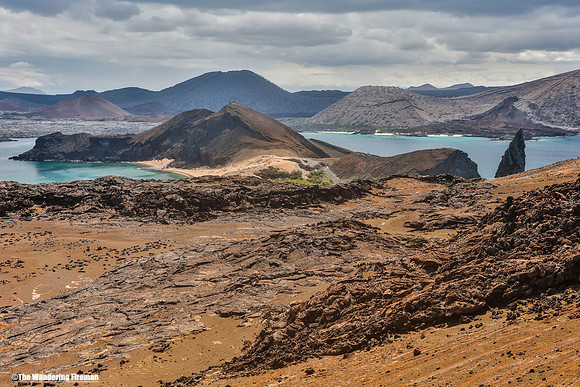 Marchena Island in the Galapgos Islands 3