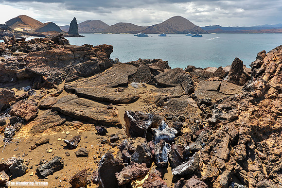 Marchena Island of the Galapgos Islands
