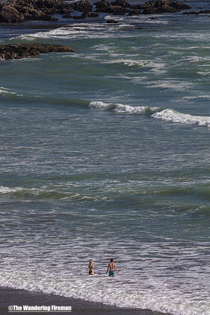 Coastal Beauty in New Zealand