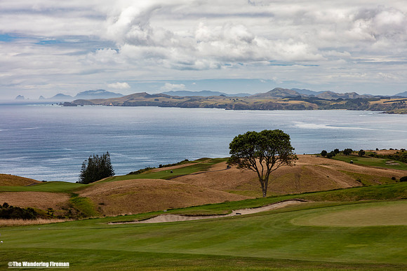 Coastal beauty of the north island of New Zealand