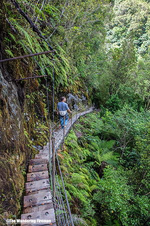 Hiking to Franz Josef glacier in New Zealand