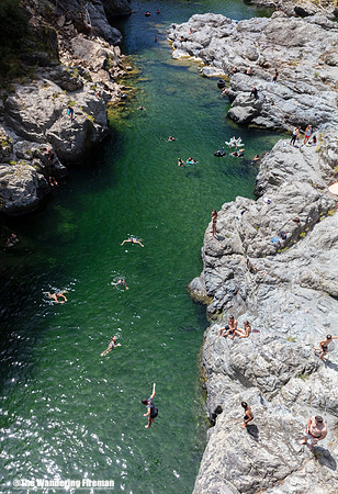 Kids dive into the Pelorus river of New Zealand