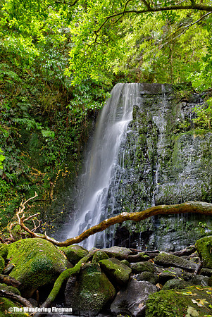 Matai Falls New Zealand