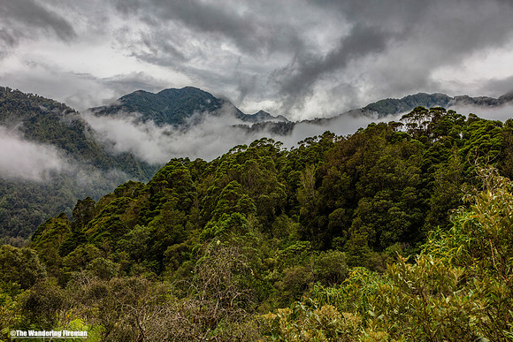 Misty mountain scene of Franz Josef glacier valley in New Zealand