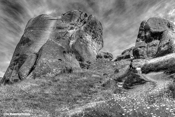 Monochrome image of Castle Hill New Zealand