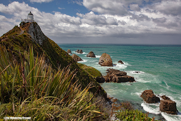 Nugget Point Lighthouse on the south island of New Zealand