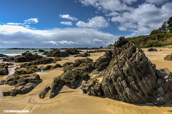 Rocky coast of New Zealand