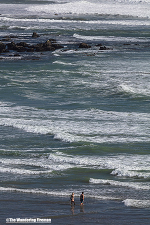 Scenic coastal beauty of New Zealand