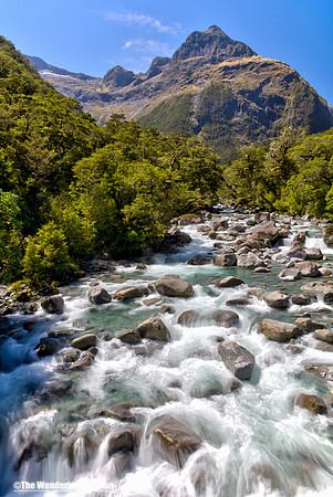 Scenic river in New Zealand