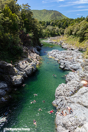 Scenic view of the Pelorus river New Zealand