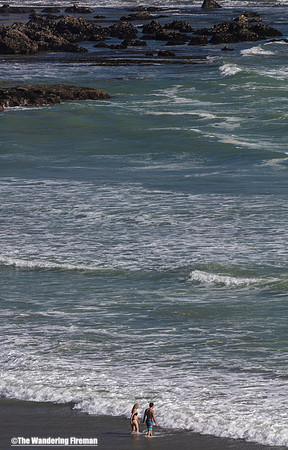 The coastal beauty of New Zealand