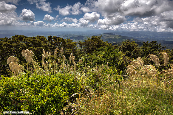 View from Mount Te Aroha of New Zealand